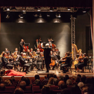 le-muse-di-mozart